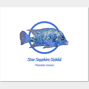 Star Sapphire Cichlid Posters and Art